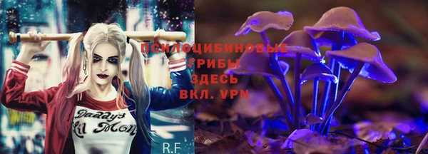 спайс Алексин