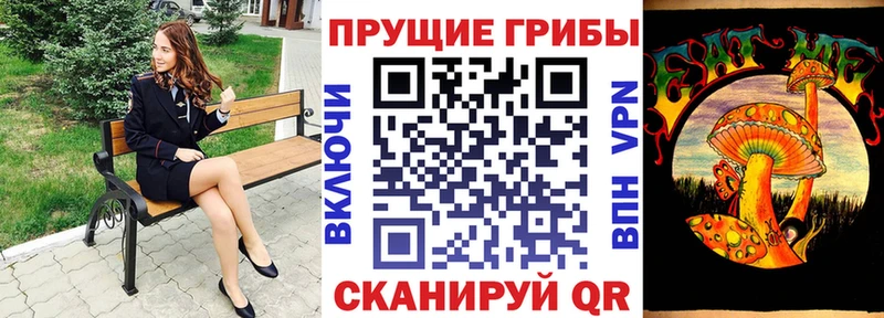 Псилоцибиновые грибы Psilocybe  Апрелевка 
